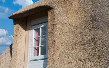 Bilberry thatch roof disadvantages